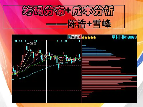 筹码分布+成本分析—陈浩+雪峰