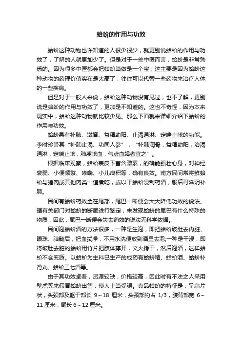 蛤蚧的作用与功效