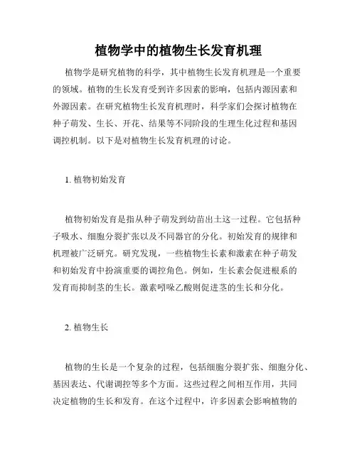 植物学中的植物生长发育机理
