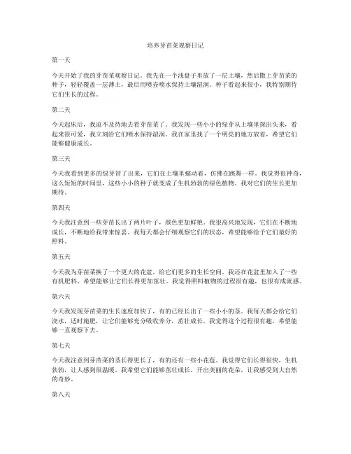 培养芽苗菜观察日记