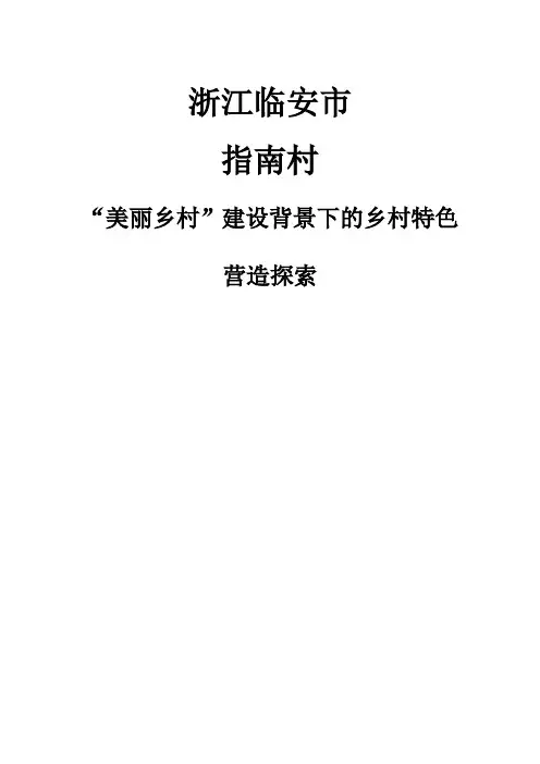 浙江临安市指南村规划