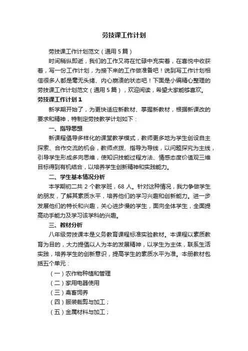 劳技课工作计划