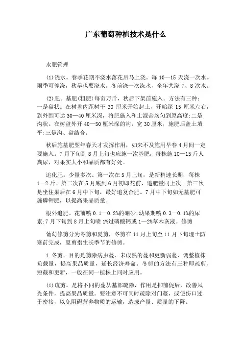 广东葡萄种植技术是什么