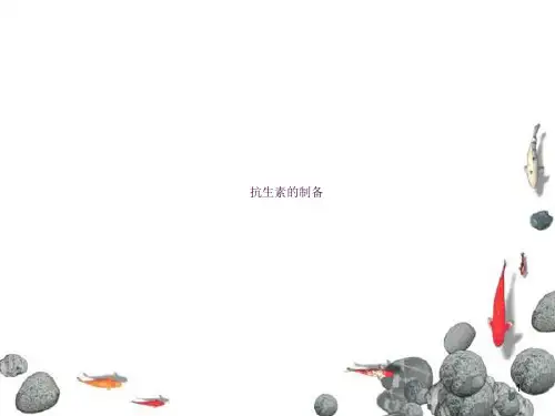 抗生素的制备ppt课件