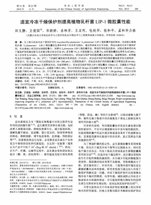 适宜冷冻干燥保护剂提高植物乳杆菌LIP-1微胶囊性能