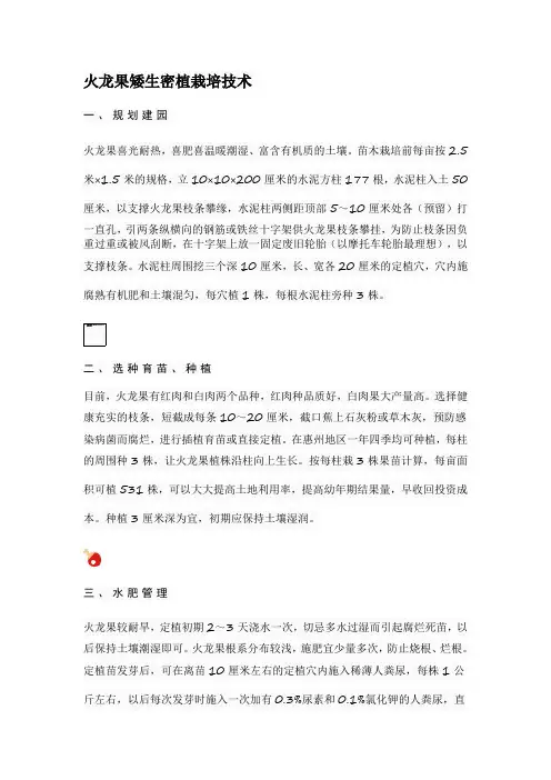 火龙果矮生密植栽培技术