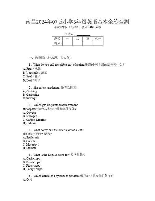 南昌2024年07版小学5年级第八次英语基本全练全测