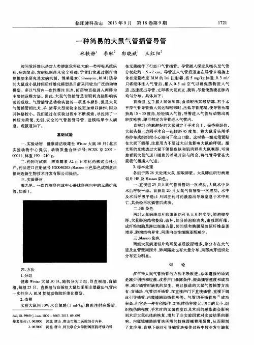 一种简易的大鼠气管插管导管