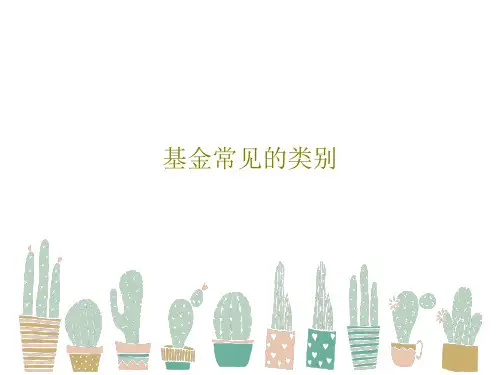 基金常见的类别41页PPT