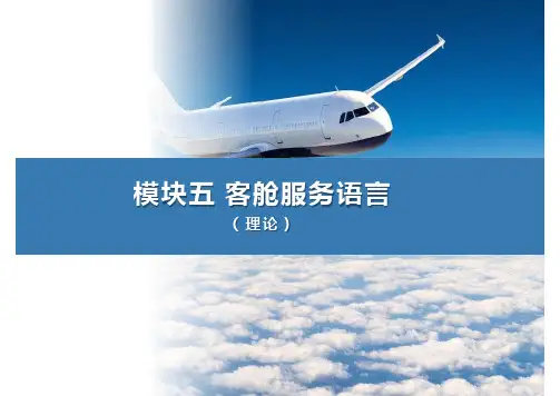 《客舱设施与服务》课件(模块五理论)