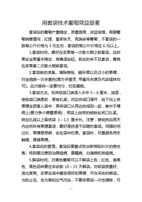 用套袋技术葡萄效益显著