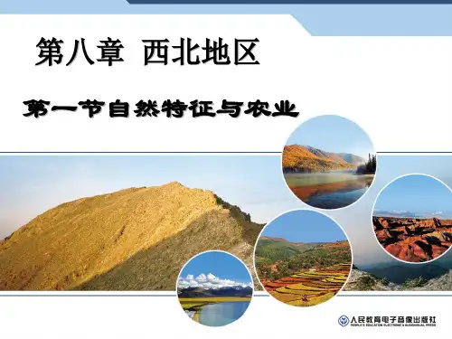 人教版八年级地理下册第八章西北地区第一节自然特征与农业
