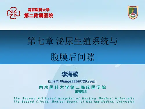 医学影像学课件：泌尿系统课件见习
