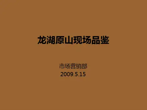 龙湖原山别墅现场品鉴