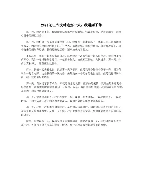 2021初三作文精选那一天,我遇到了你