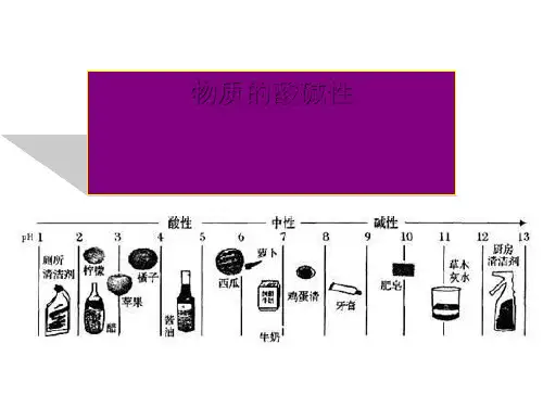 1.2物质的酸碱性—浙教版九年级科学上册课件2