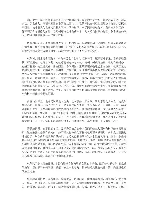 描写皂角树的抒情散文：家乡的皂角树
