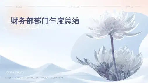 财务部部门年度总结PPT
