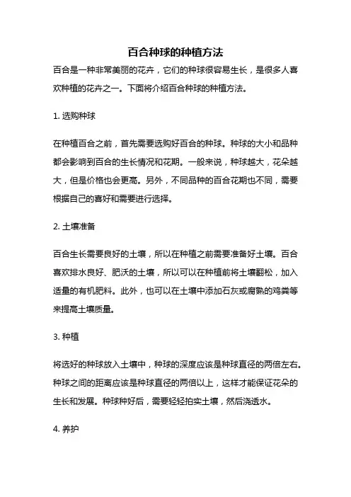 百合种球的种植方法