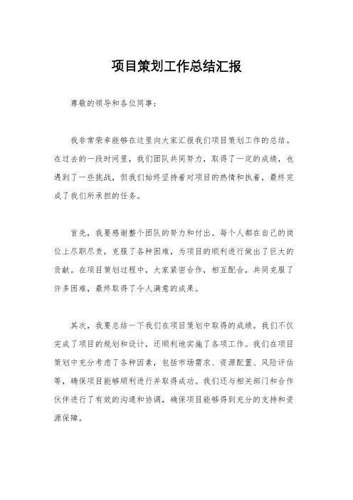 项目策划工作总结汇报