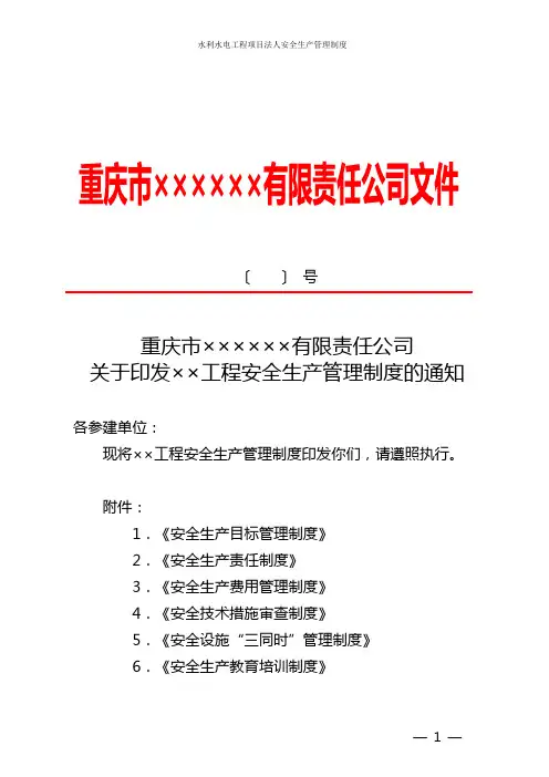 水利水电工程项目法人安全生产管理制度