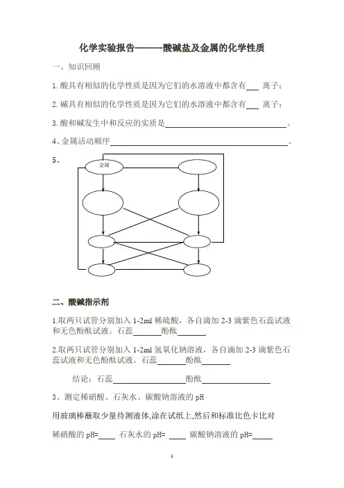 酸碱盐实验报告_3