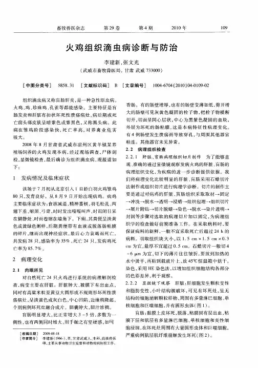 火鸡组织滴虫病诊断与防治