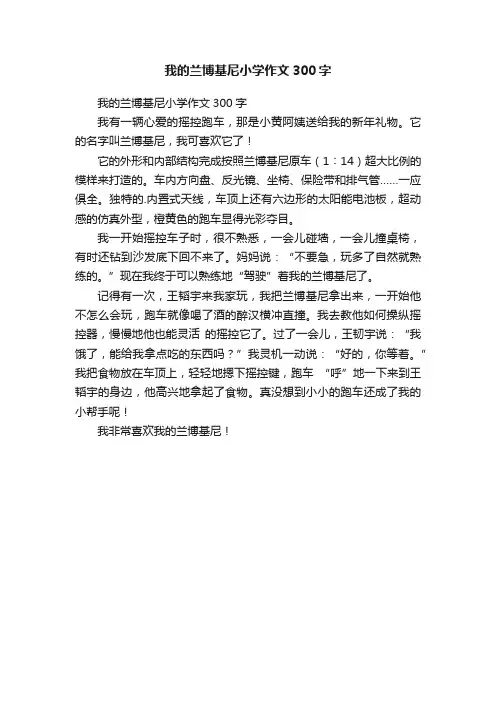 我的兰博基尼小学作文300字