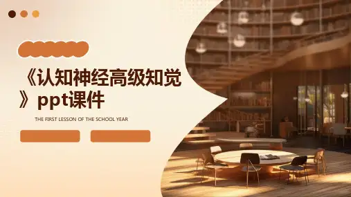 《认知神经高级知觉》课件