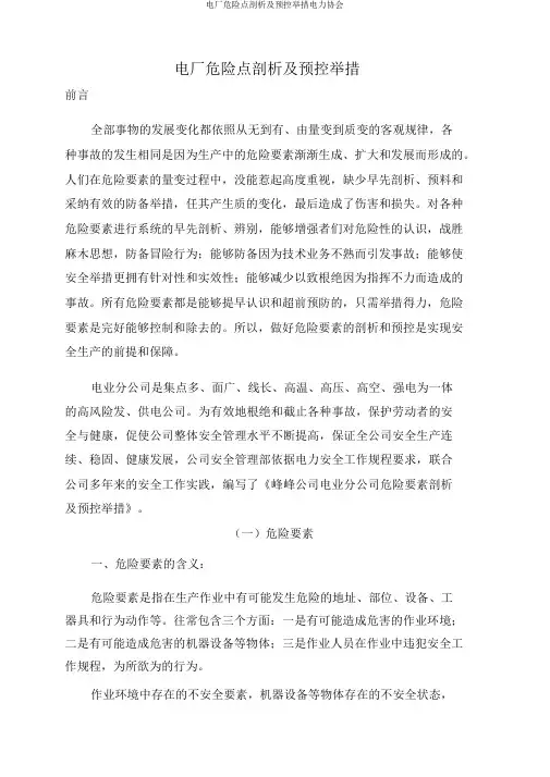 电厂危险点分析及预控措施电力协会