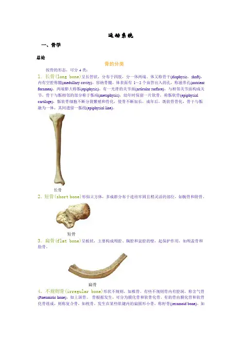 运动系统解剖彩图版