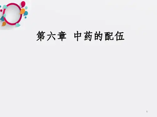 中药的配伍PPT课件