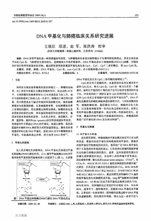 DNA甲基化与肺癌临床关系研究进展
