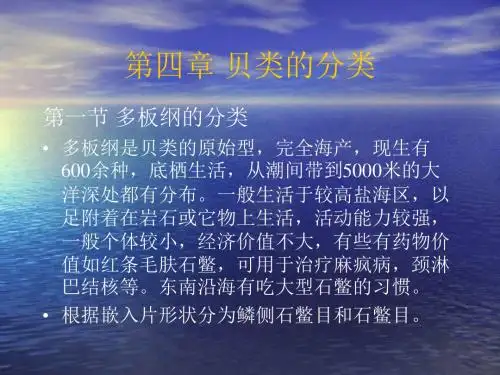 贝类学课件第四章 贝类的分类