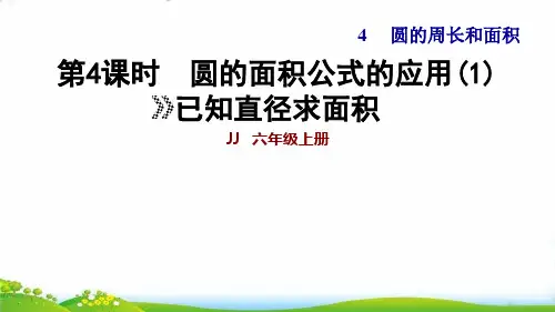 冀教版六年级上数学作业-圆的面积公式应用——已知直径求面积(10张)
