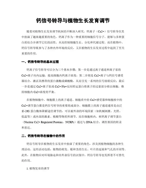 钙信号转导与植物生长发育调节