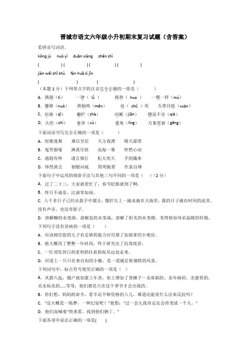 晋城市语文六年级小升初期末复习试题(含答案)