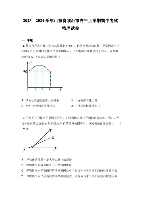 2023—2024学年山东省临沂市高三上学期期中考试物理试卷