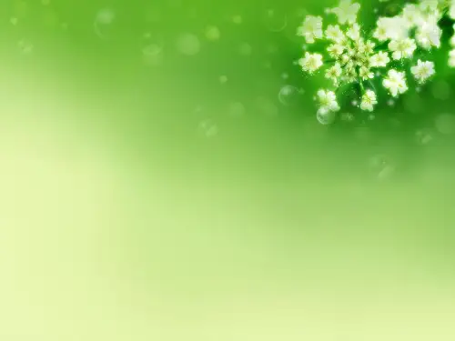 第九讲流体力学优秀课件