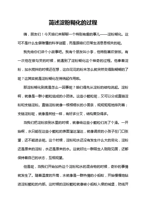 简述淀粉糊化的过程