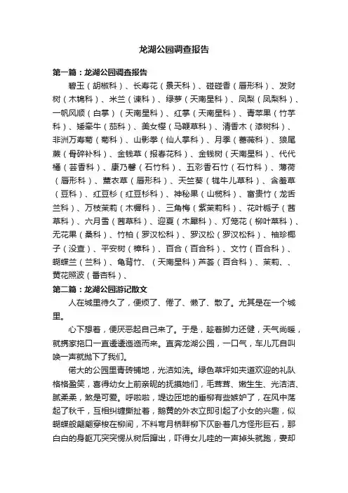 龙湖公园调查报告