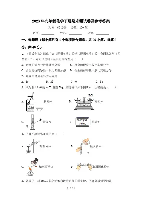 2023年九年级化学下册期末测试卷及参考答案