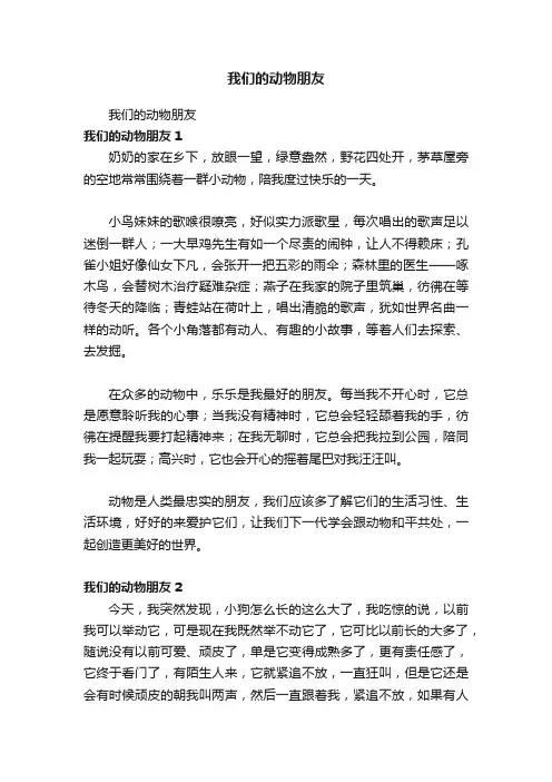 我们的动物朋友