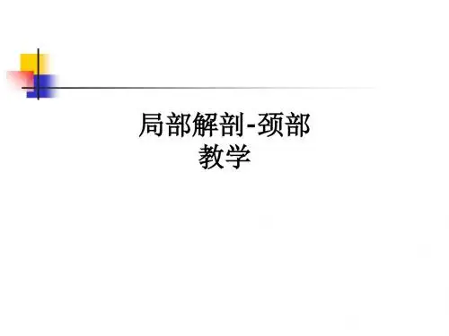 局部解剖-颈部ppt课件