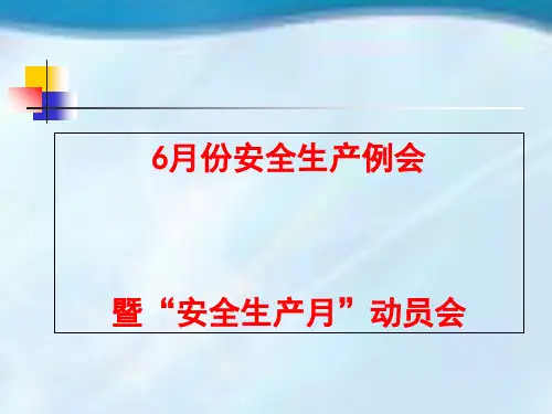 某公司安全生产例会(PPT 61页)