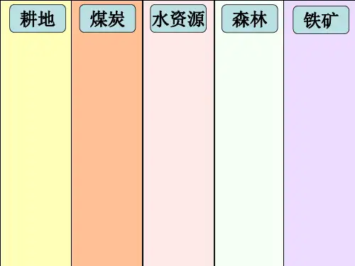 量名称我国自然资源分布现状统计表铁矿煤炭耕地森林水资源26377亿