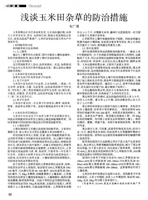 浅谈玉米田杂草的防治措施