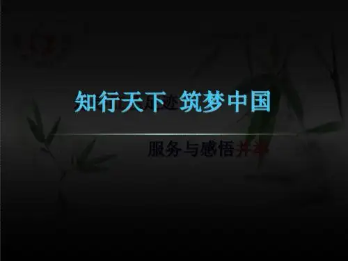 暑期社会实践三下乡PPT