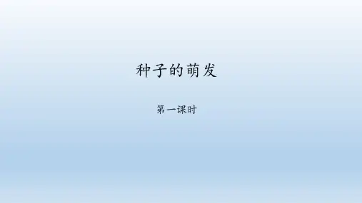 鲁科版(五四学制)生物六年级下册： 种子的萌发  课件