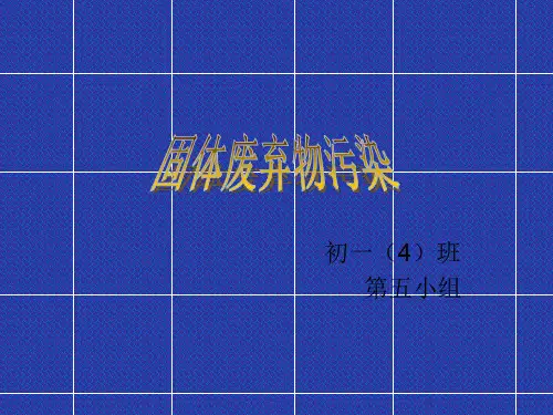 固体废弃物污染.ppt